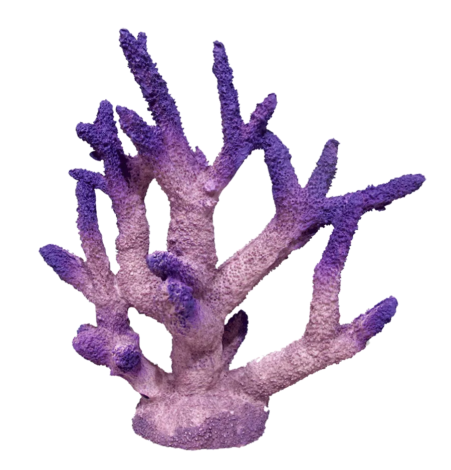 Aquamate - Corals (Medium)