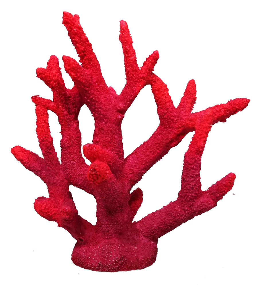Aquamate - Corals (Medium)